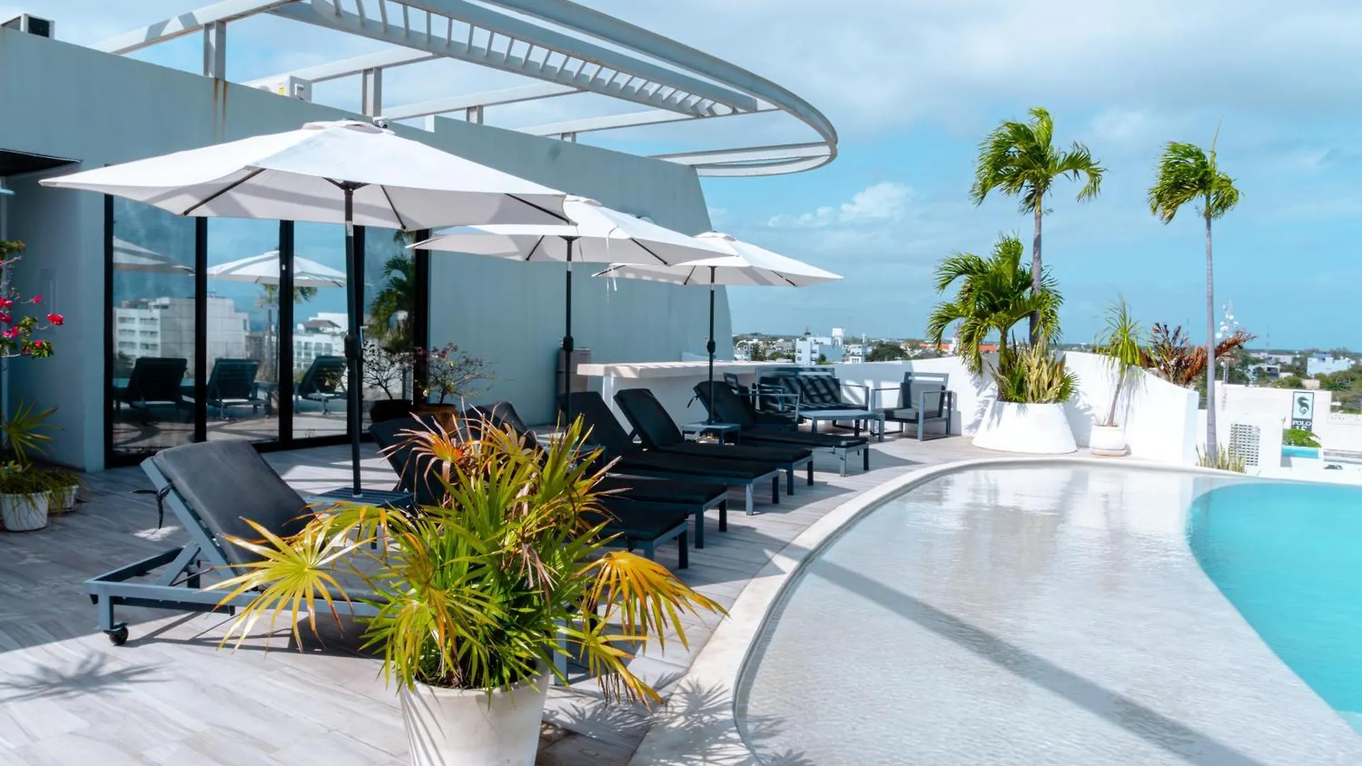Mare Playa Del Carmen Hotel Mexico